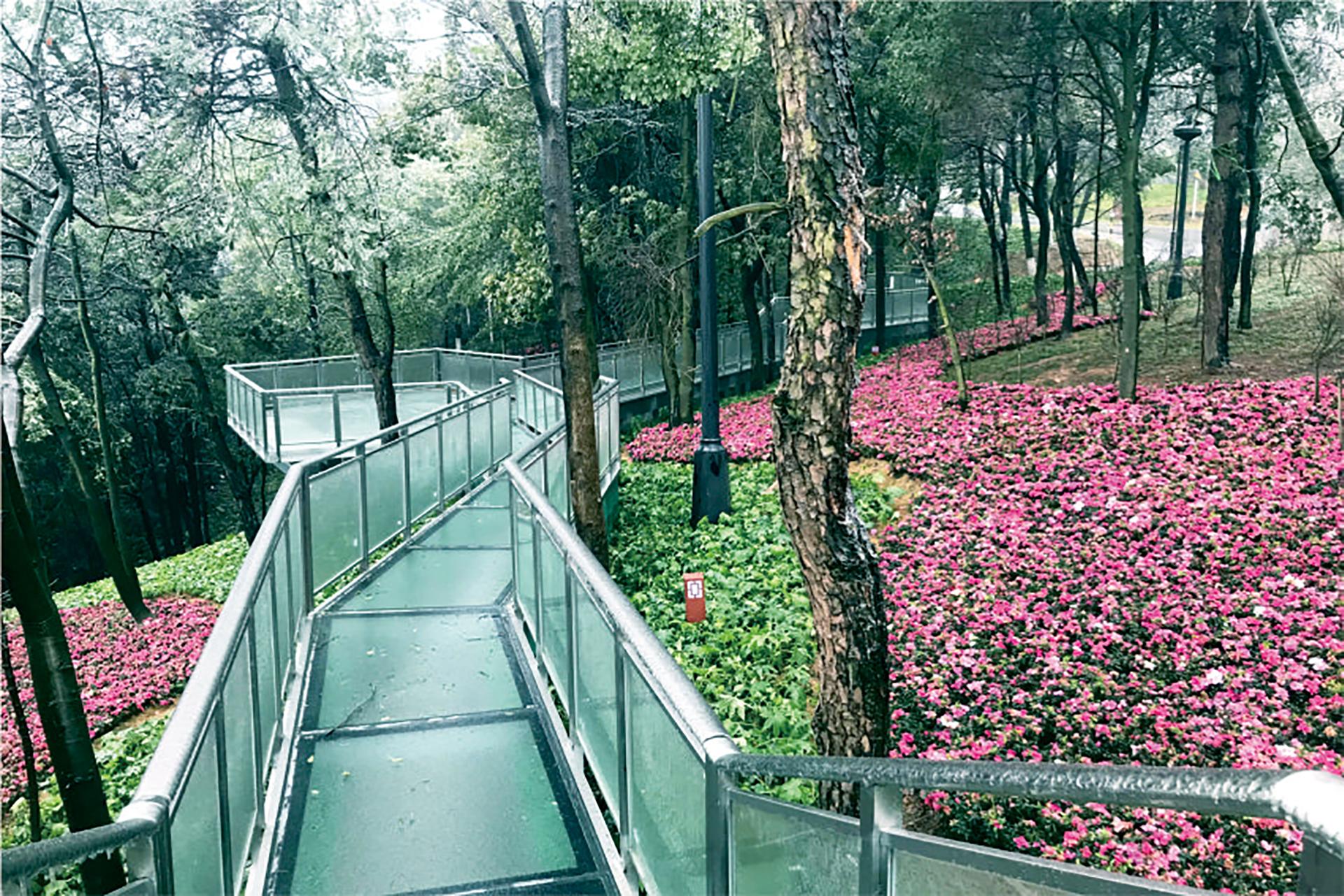 仙山公园提质改造